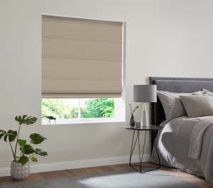 Beige Roman Blind (1621D)